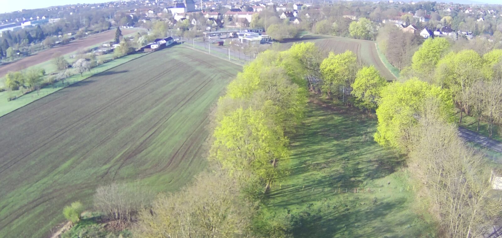 Neubaugebiet „Am Taubenberg“ in Sangerhausen
