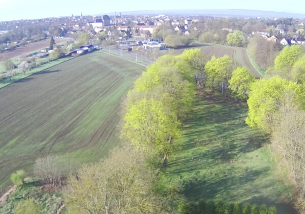 Neubaugebiet „Am Taubenberg“ in Sangerhausen