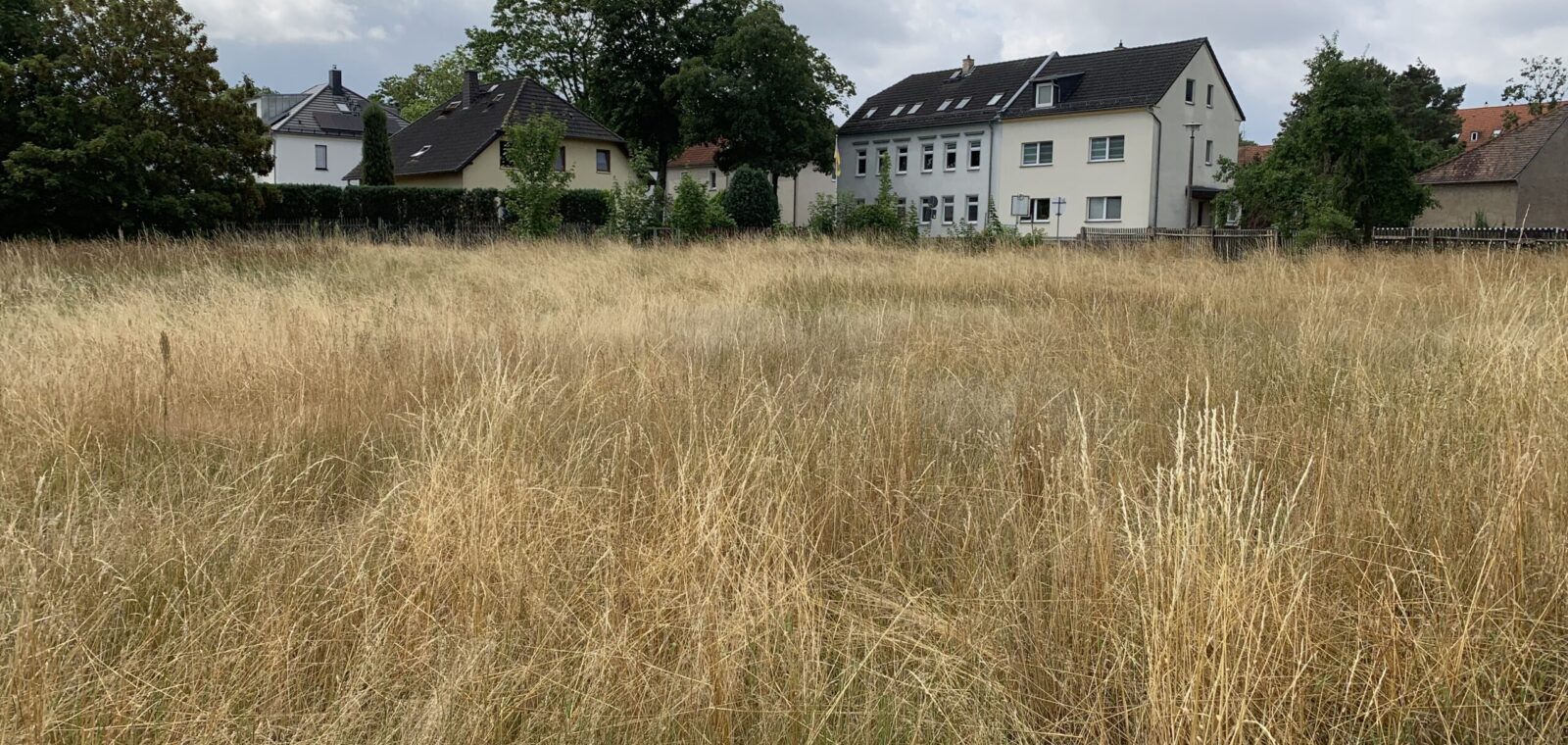 Wohngebiet Taucha – Grassdorfer Straße